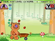 Catch the Fruit