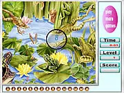 Crack frogs hidden numbers