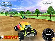 Rally Bugs