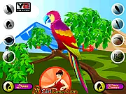 Decor the Cute Parrot