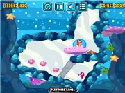 Seahorse Bubble