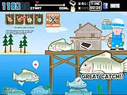 Fish and Serve V2