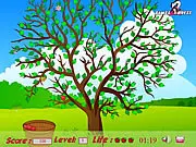 Apple Tree