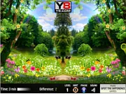 Four Seasons Differences