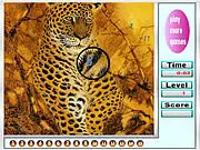 Fabulous tigers hidden numbers
