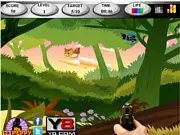 Birds Hunter1