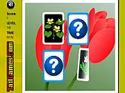 Flowers Memory Challenge