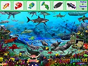Underwater Fish Hidden Object