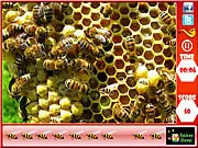 Honeycomb - Hidden Bees