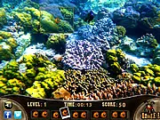 Sea World Sniper