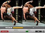 Ultimate Fighting Differences
