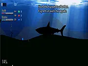 Dream of the Ocean