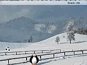 Penguin Soccer