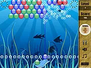 Dolphin Ball 2