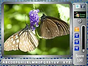 Butterfly - Find the Alphabets