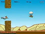 Bullet Humming Bird