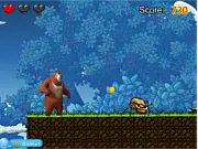 Bears Adventure