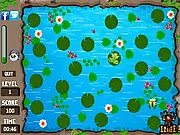The Hungry Frog