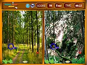 Forest Similarities