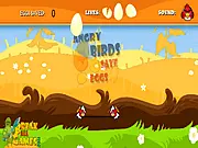 Angry Birds Save The Eggs