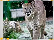 Big Cats