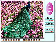 Fresh garden animal hidden numbers
