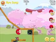 Angry Bird Seek Wife