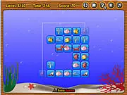 Fish Connect