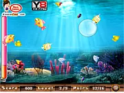 Match the fish pairs