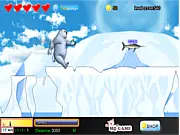 Polar Bear  Fast