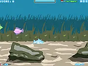 A Little Shark