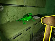 Croaky\’s House