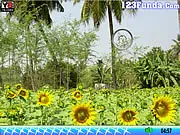 Hidden Stars Farm