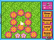 Flower Click