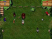 Soccer On The Nature