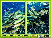 Underwater Similarities