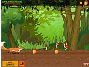 Forest Run