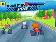 Kart Racing Pro