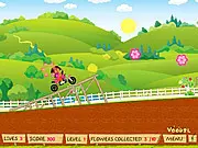 Dora Stunts