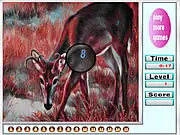 Red deers hidden numbers