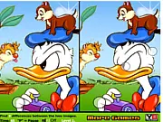 Duck and Chipmunks Differences