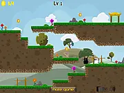 Dino Home