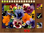 Parts of Picture:Flowers