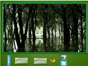 Puzzle Craze Dark Forest