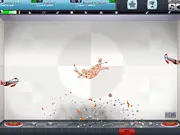 Ragdoll Achievement 2