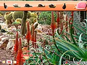 Snail Match