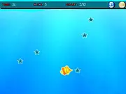 Starfish