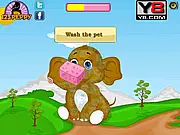 Baby Elephant Day Care