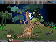 Pumpkin Forest Escape