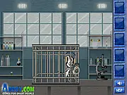 Lab Mouse Escape